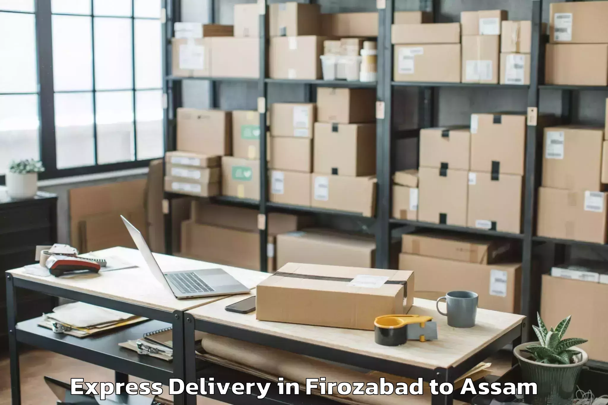 Leading Firozabad to Bajali Pt Express Delivery Provider